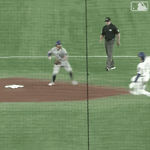 Catching The Ball Major League Baseball GIF