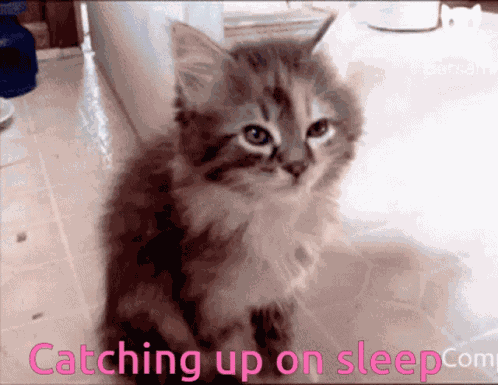 Catching Up On Sleep Tired GIF