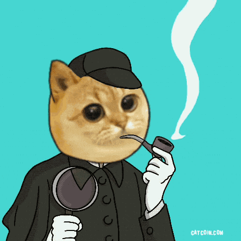 Catcoin Cat Coin GIF