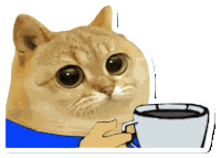 Catcoin Cat Memes Sticker