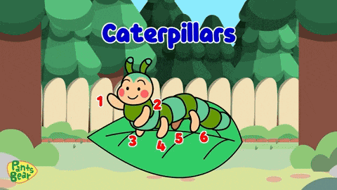 Caterpillar Hungry Caterpillar GIF