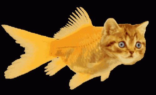 Catfish Fishing GIF