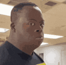 Catfishing Hub GIF