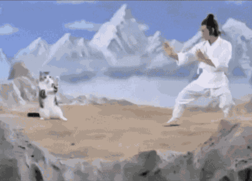 Catfu Cat Fu GIF