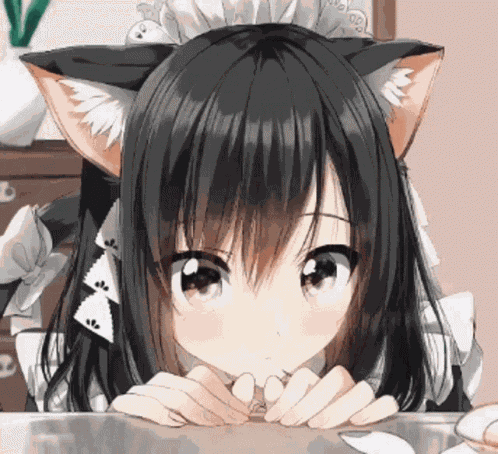 Catgirl Kawaii GIF