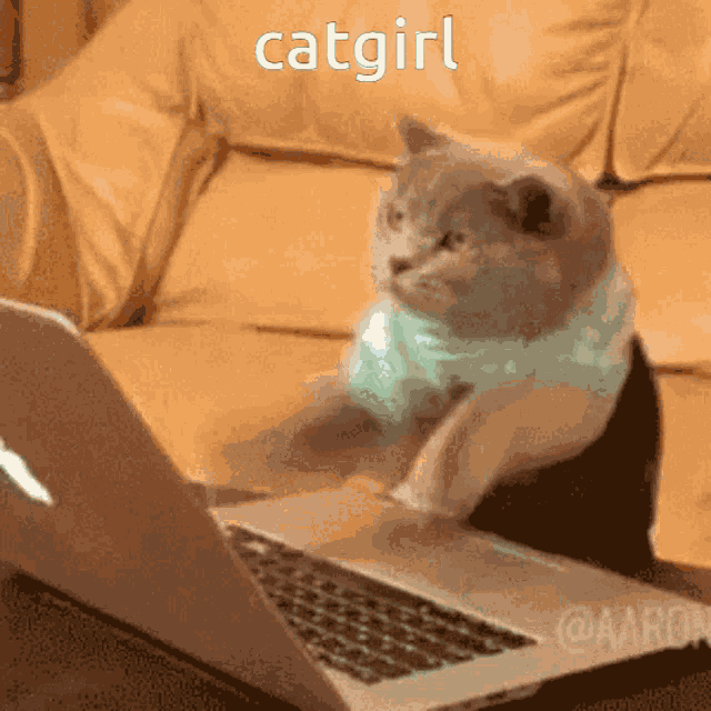 Catgirl GIF