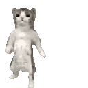 Catgroove7tv Catdance Sticker