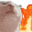 Catjam Fire Catjam Sticker GIF