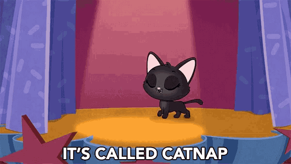 Catnap Observe GIF