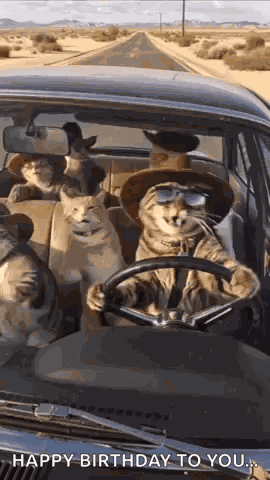 Cats Happy Birthday GIFs