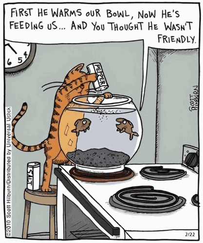 Cats Cartoon GIF