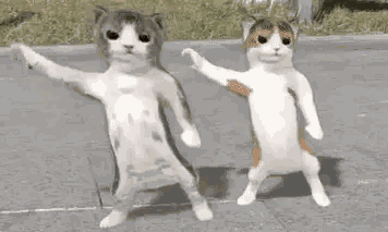 Cats Dancing Dancing 3d Cat GIF