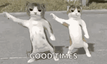 Cats Dancing Dancing 3d Cat GIF