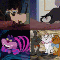 Cats Disney Cats GIF