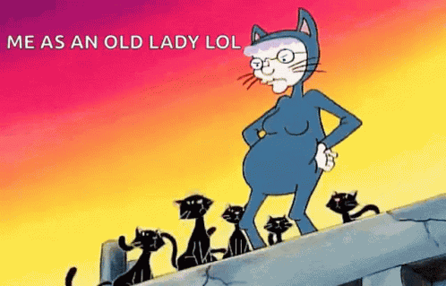 Cats Funny GIF
