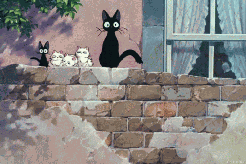 Cats GIF