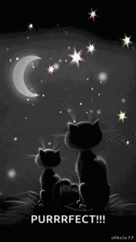Cats Goodnight GIF
