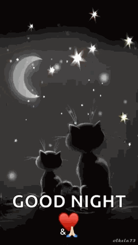 Cats Goodnight GIF