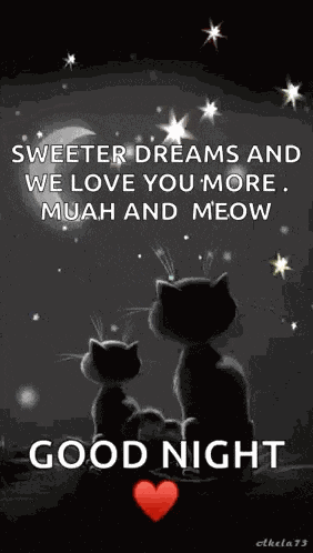Cats Goodnight GIF