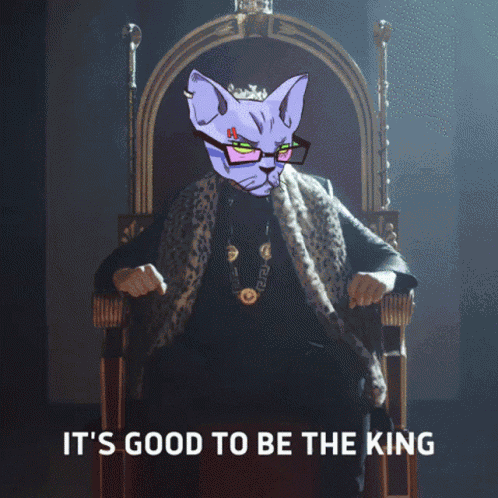 Cats On Crack Catsoncracknft GIF