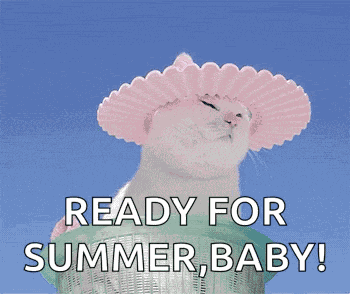 Cats Summersolstice GIF