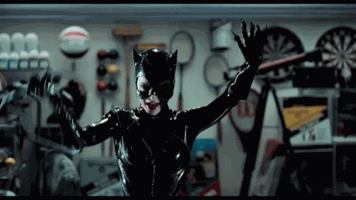 Catwoman Dc Comics GIF