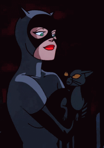 Catwoman Loves Cat GIF