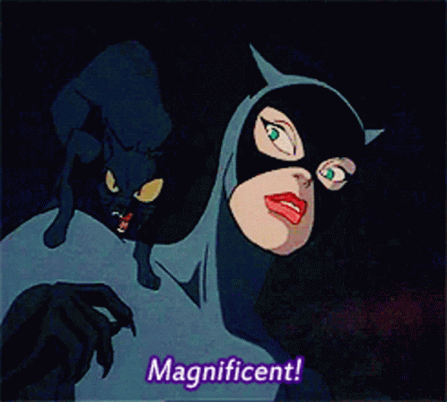 Catwoman Selina Kyle GIF