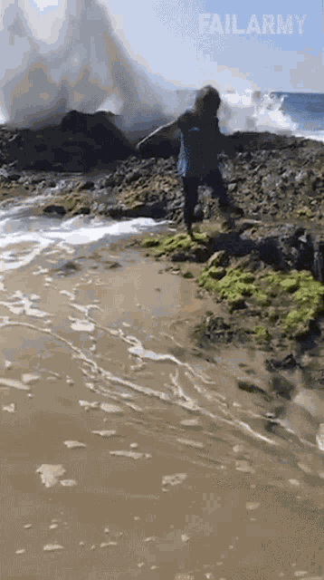 Caught By A Wave Failarmy GIF