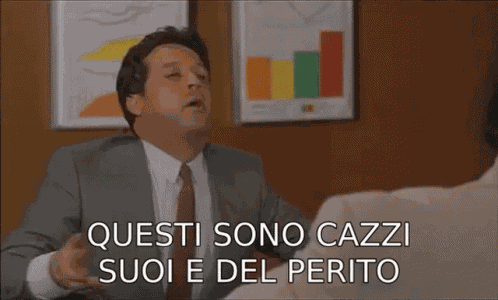Cazzi Suoi E Del Perito Renato Pozzetto GIF
