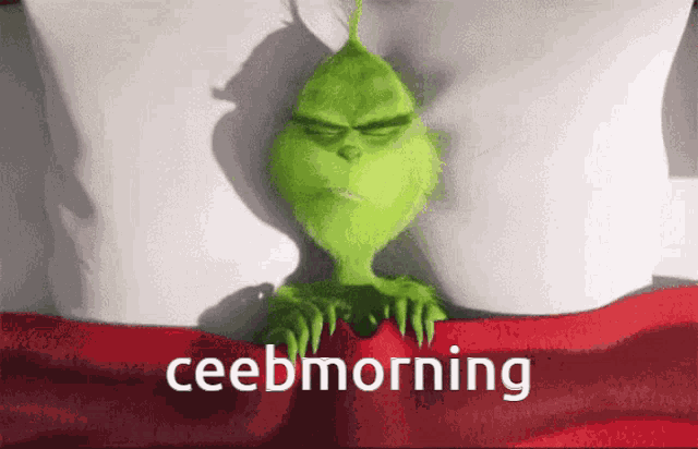 Ceeb Ceebs GIF