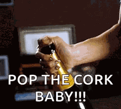 Celebrate Champagne GIF