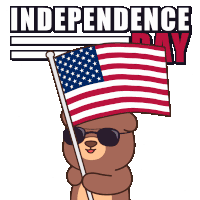 Celebration Usa Sticker