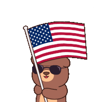 Celebration Usa Sticker