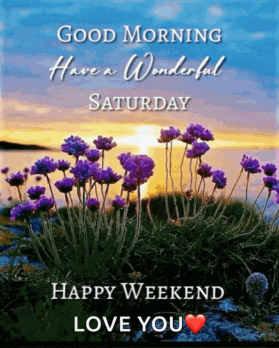 Celestra Saturday Purple Sunrise Meme