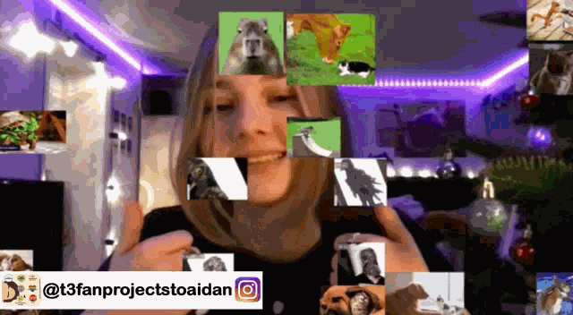 Celice Mod Mod Celice GIF