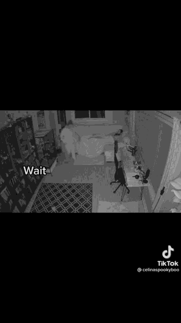 Celinaspookyboo Tiktok GIF