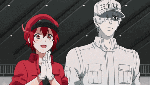 Cells At Work Red Blood Cells Cells At Work White Blood Cells GIF