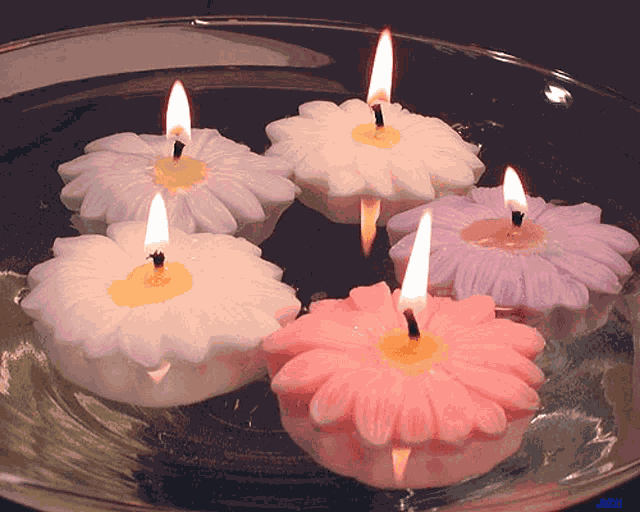 Certze Candle GIF