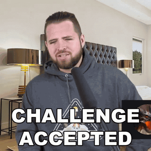 Challenge Accepted Bricky GIF