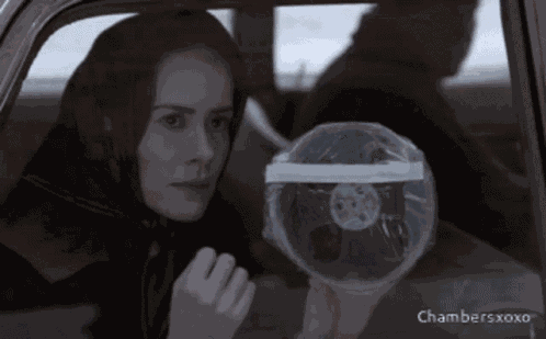 Chambersxoxo Kociakawiarnia GIF