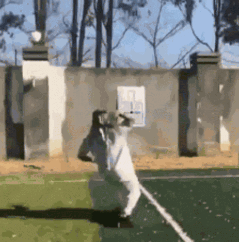 Chancla Training GIF
