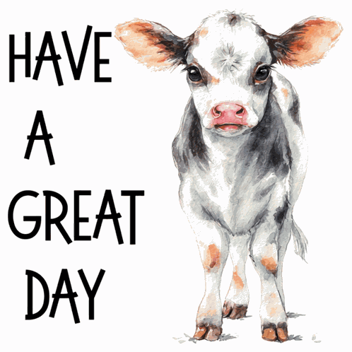 Chaos Library Cow GIF