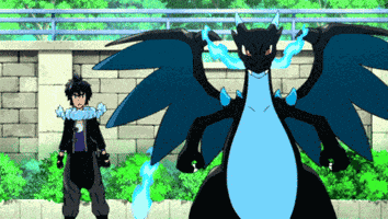 Charizard Mega Charizard GIF