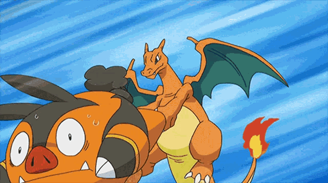 Charizard Pig GIF