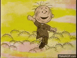Charlie Brown Crotté GIF