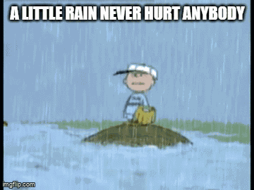 Charlie Brown Peanuts GIF