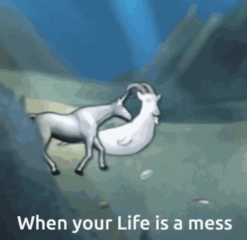 Charlie The GIF