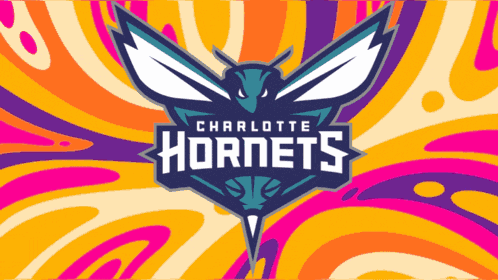 Charlotte Hornets Lets Go Hornets GIF