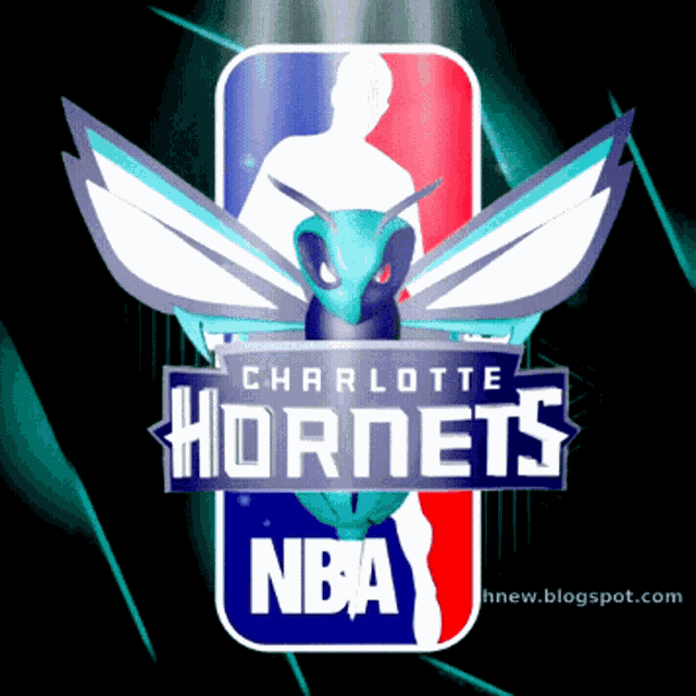 Charlotte Hornets Nba GIF